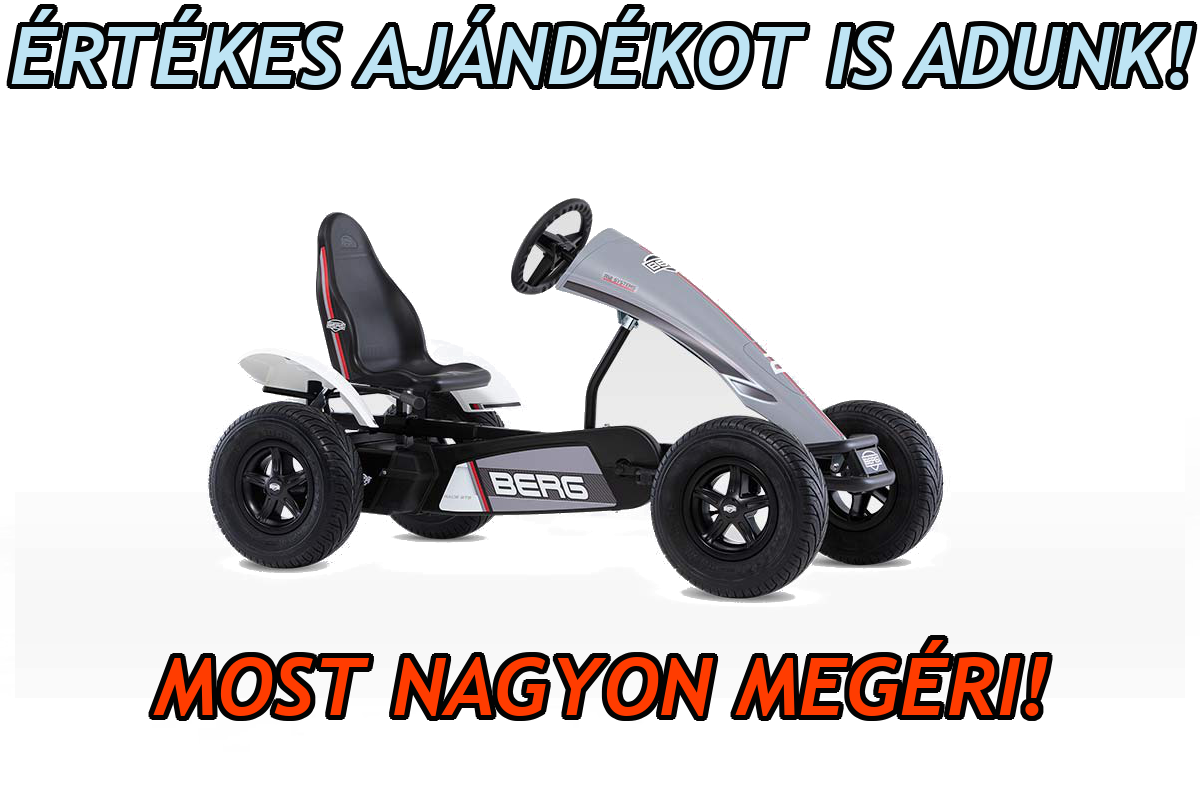 BERG gokart RACE GTS BFR XXL