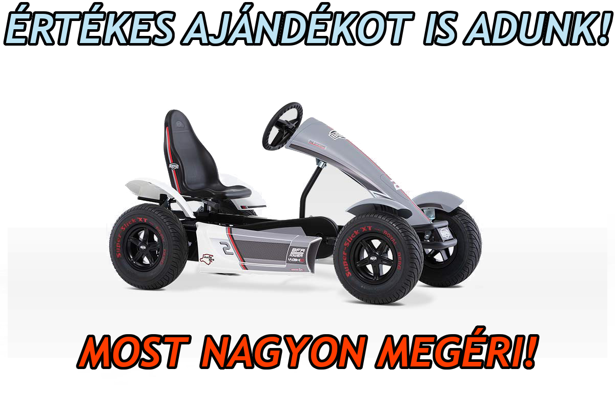 BERG gokart RACE GTS FULL SPEC BFR