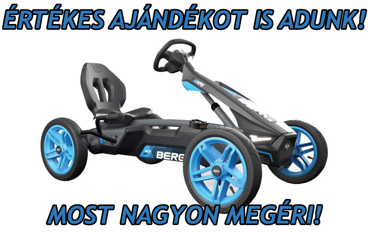 BERG gokart RALLY APX BLUE